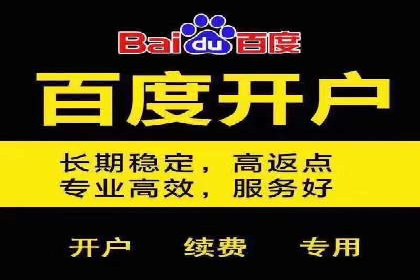SEM竞价代运营实战技巧与案例